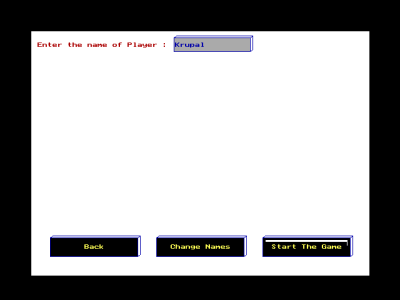 Pixel Run C - Player Name