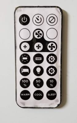 RF remote to control rome lights